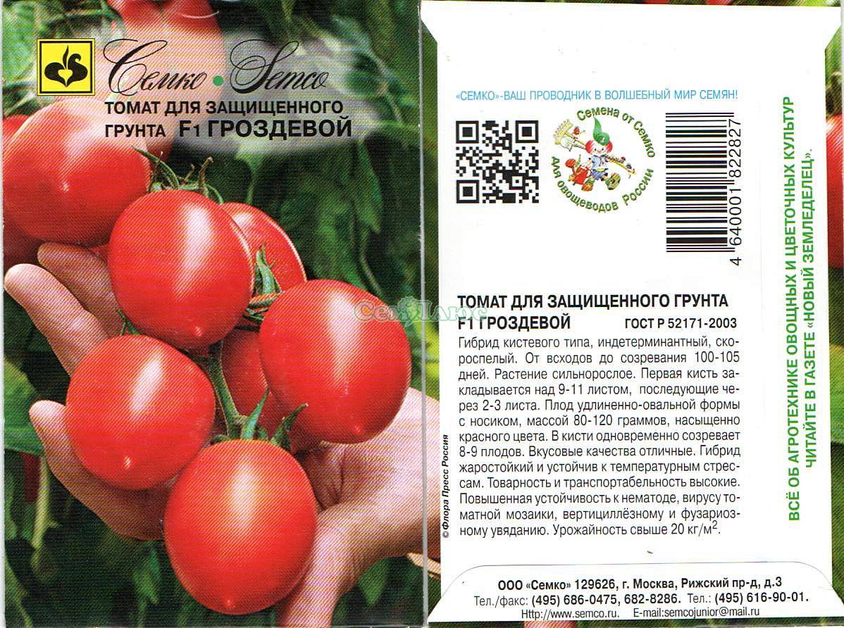 Выращиваем томаты сибирский изобильный — детальное описание сорта и характеристики