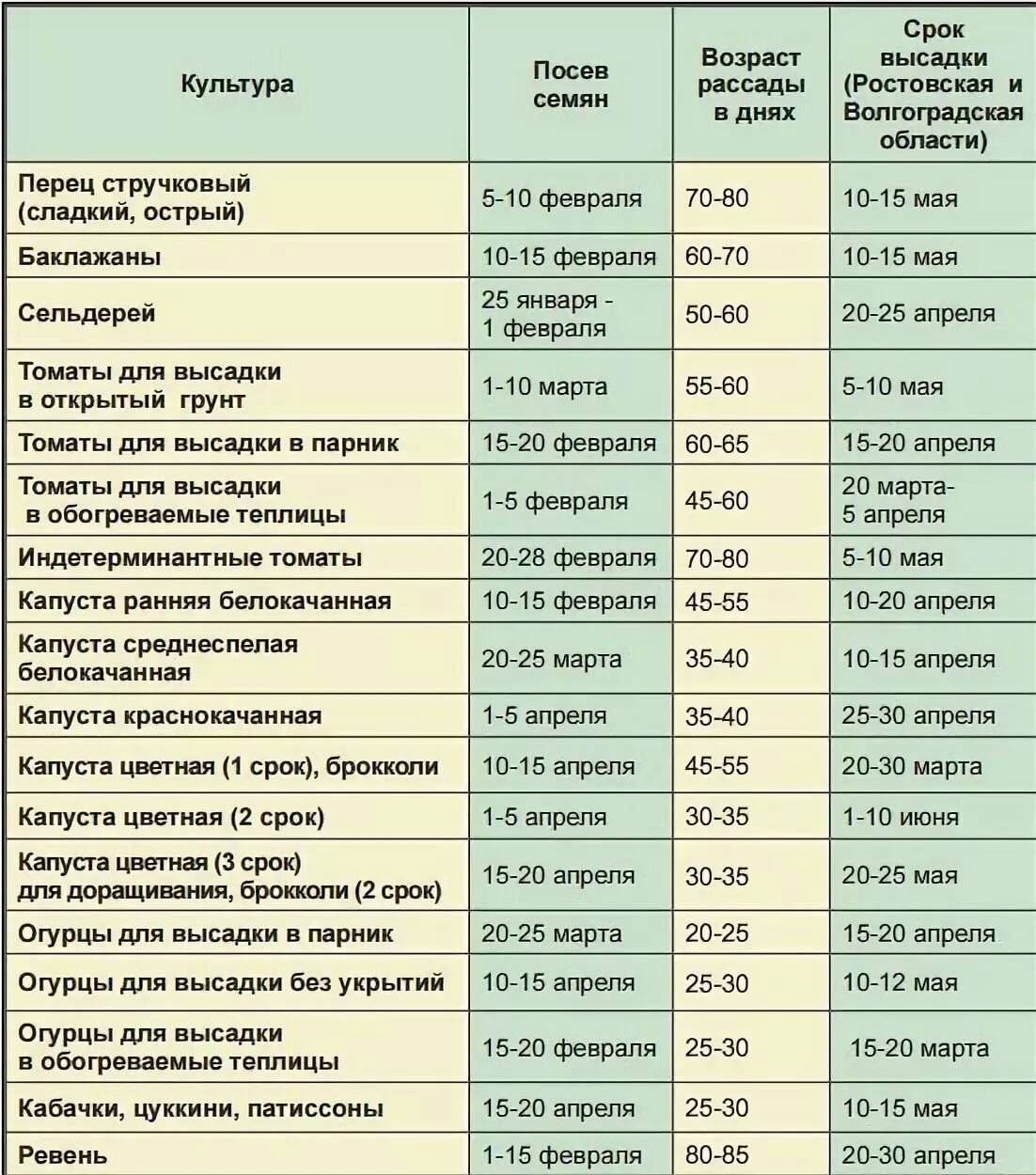Лучшие сорта огурцов для ленинградской области | советы садоводу