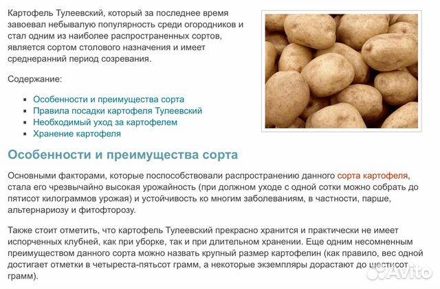 Картофель сорта тулеевский: плюсы и минусы, урожайность