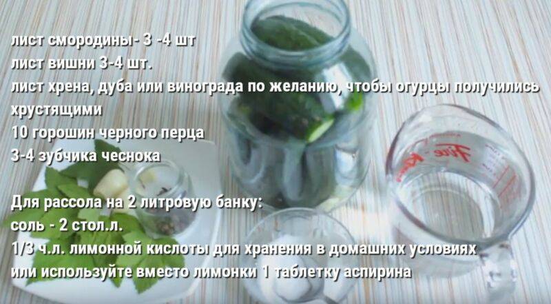 Как посолить огурцы на зиму — самые простые пошаговые рецепты. засолка огурцов на 1 литр и 3 литровую банку