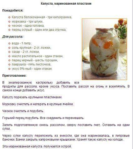 Хрустящие маринованные огурцы – 7 рецептов на зиму