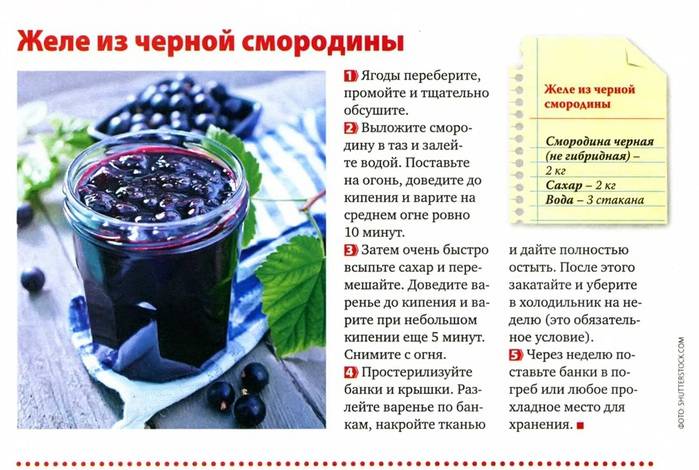 Желе из смородины, красной и черной - рецепты смородинового желе, много! | волшебная eда.ру
