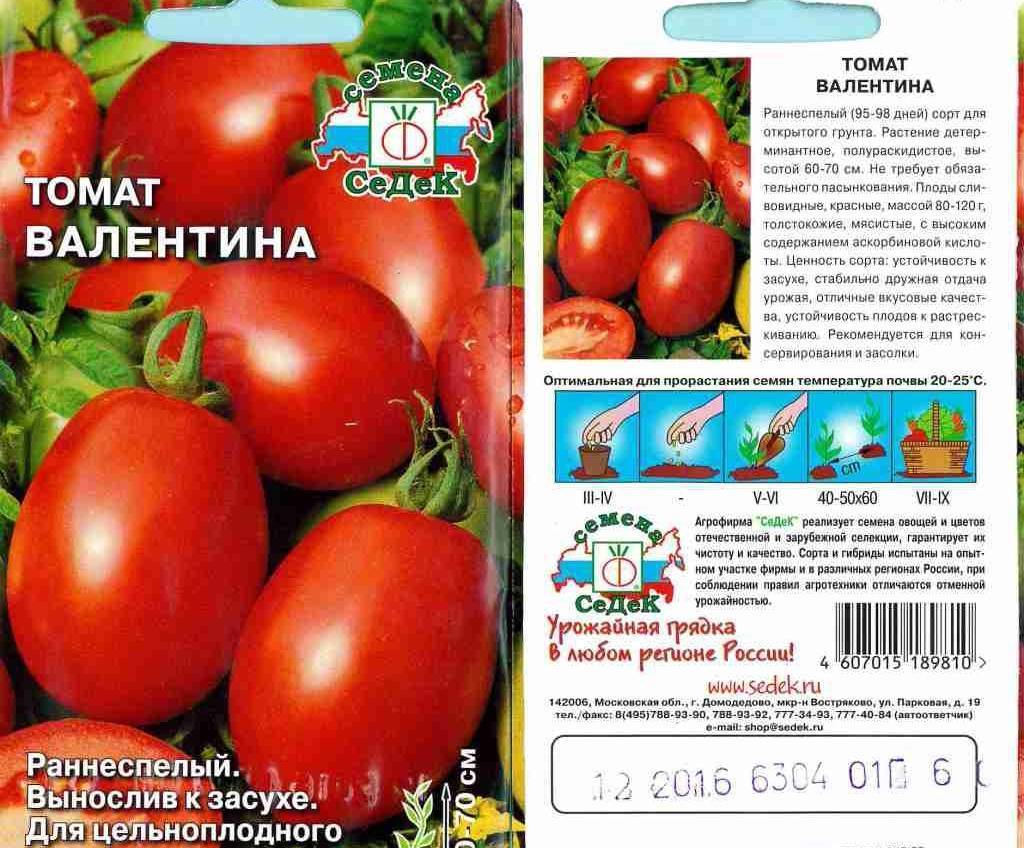 Томат фиделио: отзывы тех кто сажал помидоры об их урожайности, характеристика и описание сорта, фото семян сибирский сад