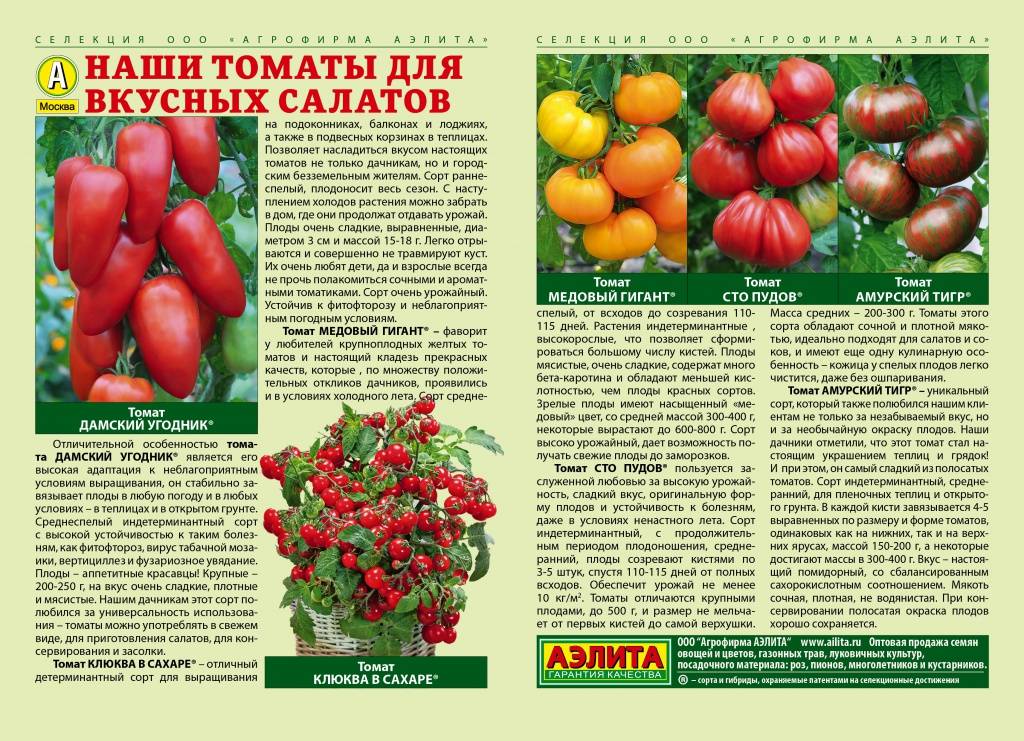 Описание сорта томата жорик-обжорик, особенности выращивания и урожайность