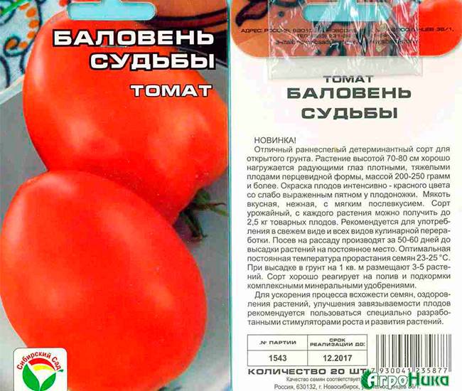 Характеристика и описание томата бурковский ранний, рекомендации по выращиванию сорта