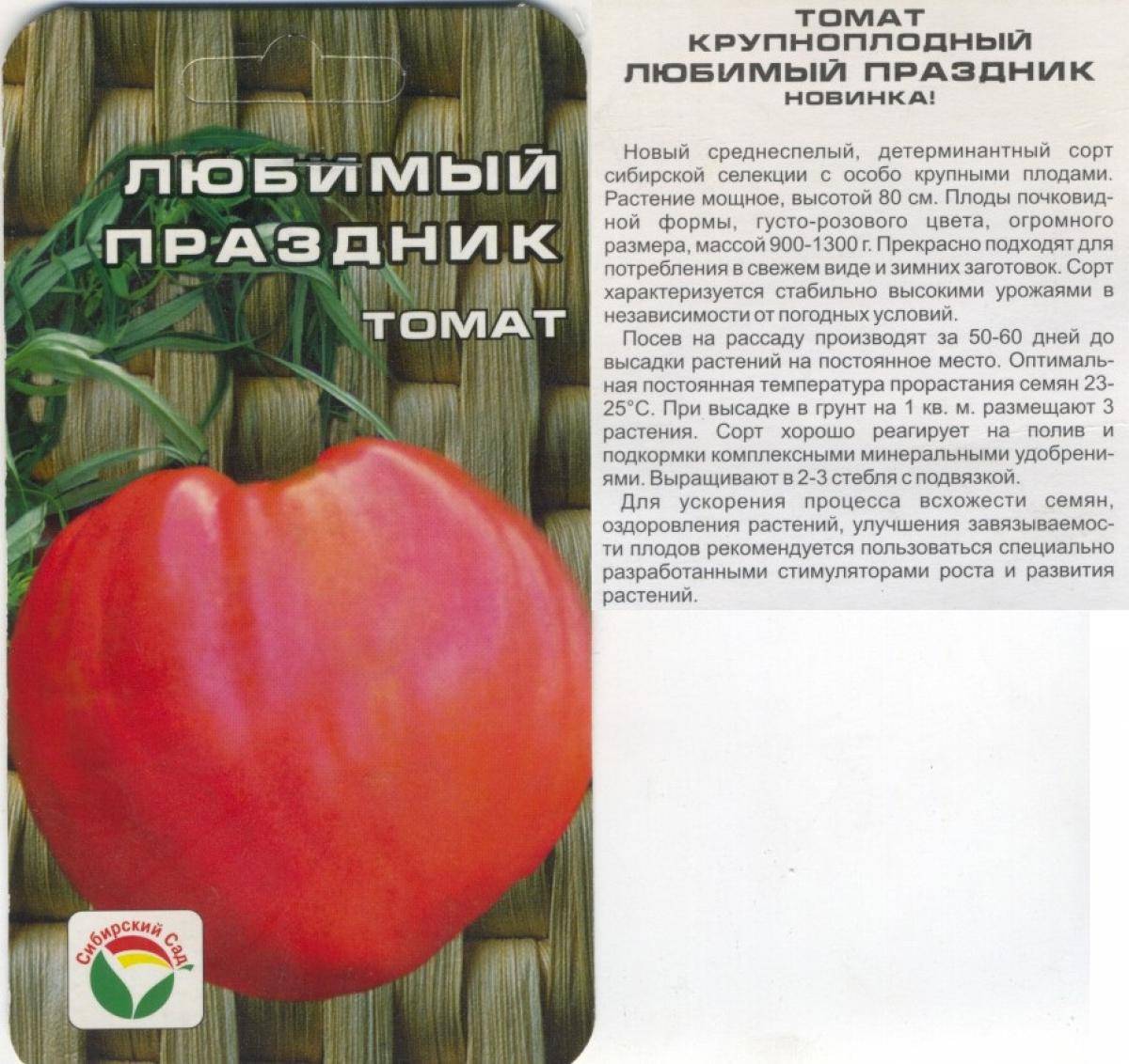 Томат даренка: характеристика и описание сорта, отзывы об урожайности помидоров, фото куста