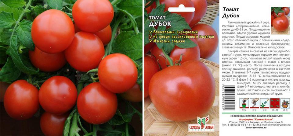Порадуют урожаем даже самых ленивых — томаты ирма: описание сорта и особенности выращивания