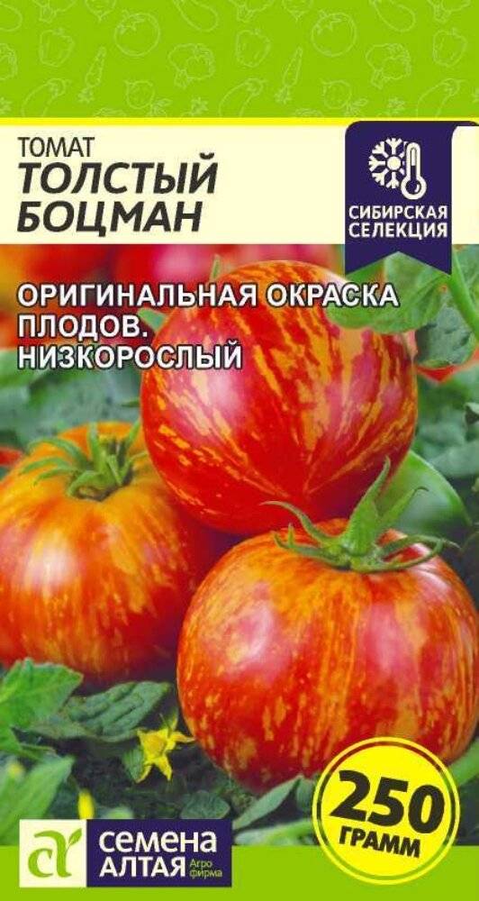 Толстой: описание сорта томата, характеристики помидоров, выращивание