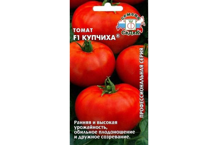 Клубника купчиха — урожайный гибрид от российских селекционеров