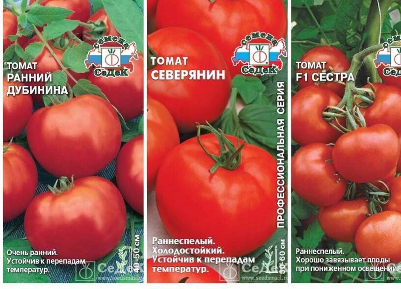 Томат рио гранде: описание и характеристика сорта, особенности выращивания помидоров, отзывы, фото