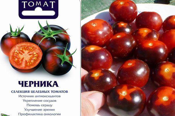 Описание и особенности культивирования сорта томата Черника