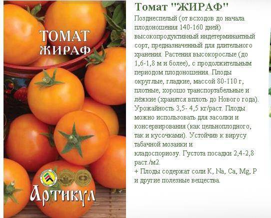 Томат "оранжевое чудо": характеристика и описание сорта помидор с фото и отзывами
