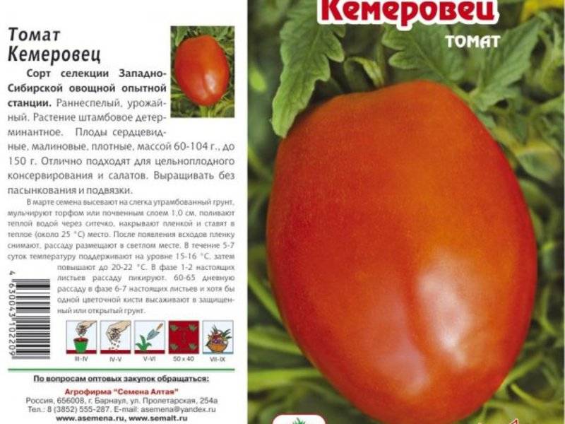 Томат "кемеровец": описание сорта, характеристика и фото плодов русский фермер