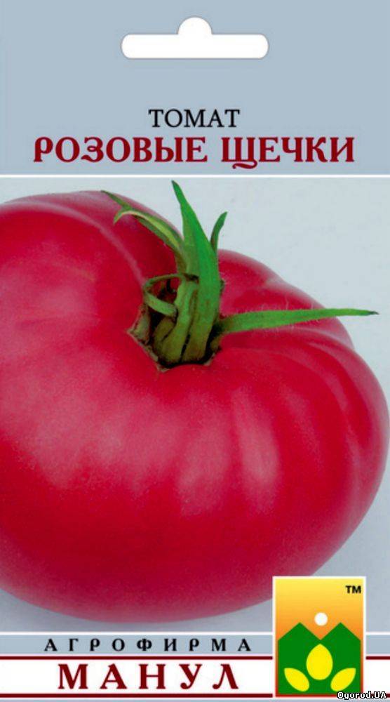 Сорт томатов розовые щечки, описание, характеристика и отзывы, а также особенности выращивания