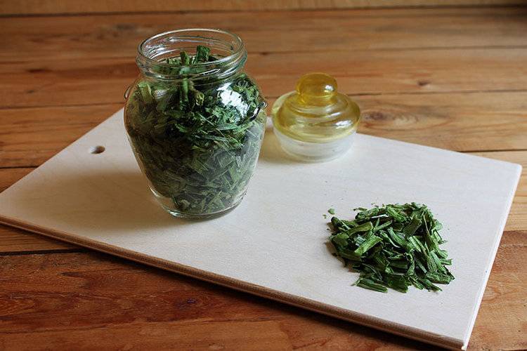 Как заготовить зеленый лук на зиму: 19 рецептов приготовления в домашних условиях