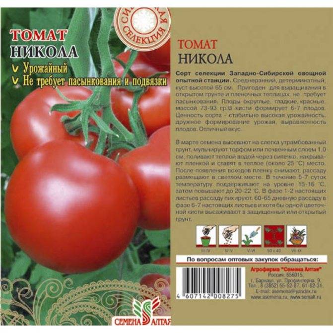 Характеристика и подробное описание сорта томатов Никола