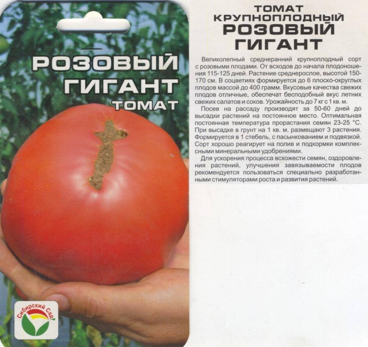 Томат сибирский гигант: описание сорта, отзывы (7), фото, урожайность | tomatland.ru