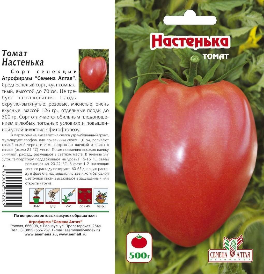 Томат настя сибирячка: характеристика и описание сорта с фото, урожайность помидора, отзывы дачников
