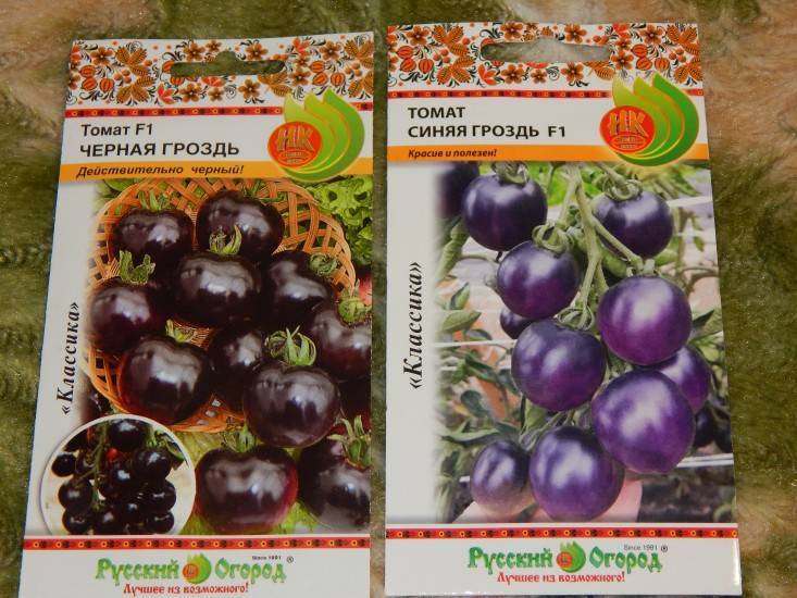 Томат "черная гроздь": описание сорта, характеристики плодов-помидоров, рекомендации по уходу и выращиванию, а так же фото и видео-материалы русский фермер