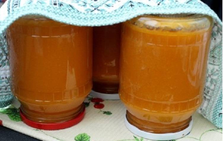 Сок из абрикосов — закатываем на зиму максимальную порцию витаминов