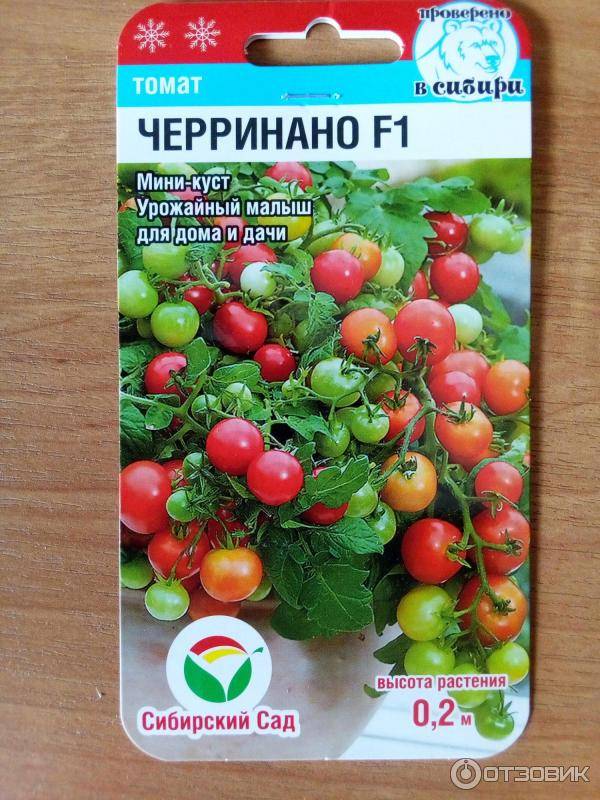 Сорта (помидор) томатов черри для выращивания на даче и дома - фермеры россии