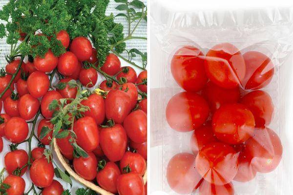 Томат немецкая красная клубника (розовая, оранжевая): отзывы огородников и их практические советы по выращиванию помидоров