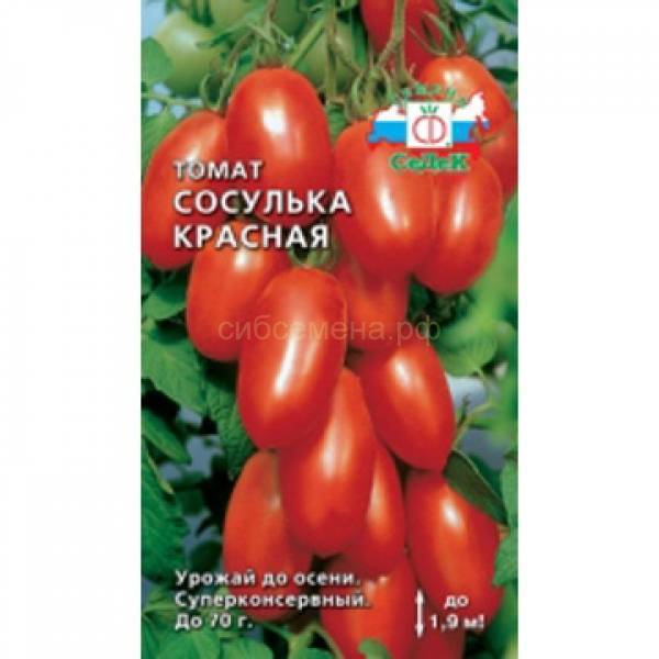 Черные томаты, лучшие сорта для теплиц и грядок | ягодный сад, или прикладное садоводство в советах, вопросах и ответах