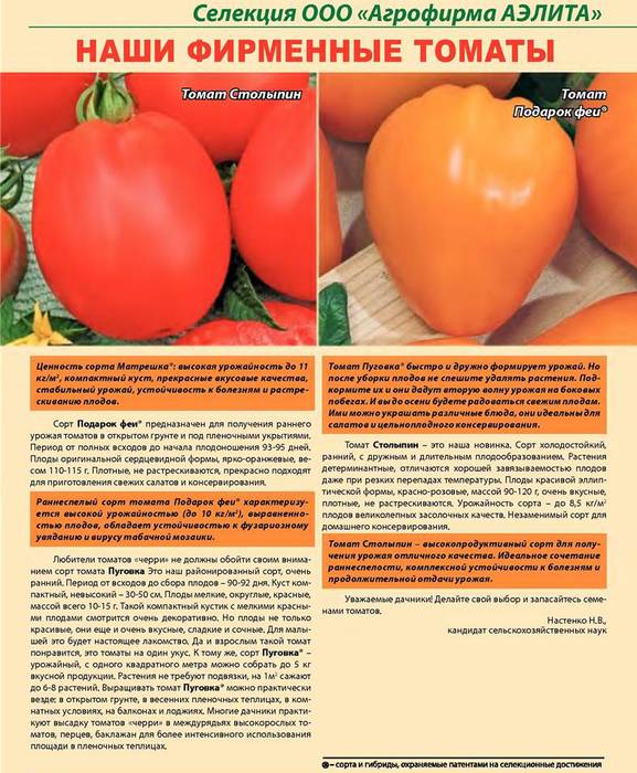 Ультраскороспелые томаты: их выбор и подробное описание
