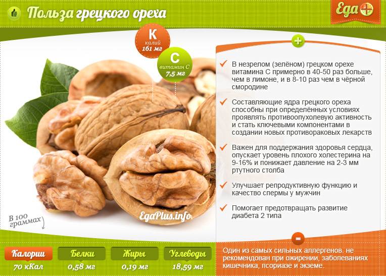 Польза и вред грецких орехов для организма, противопоказания