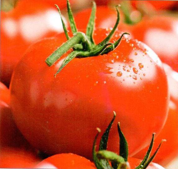 Описание сорта томата tmag 666 f1, характеристика и способы выращивания - всё про сады