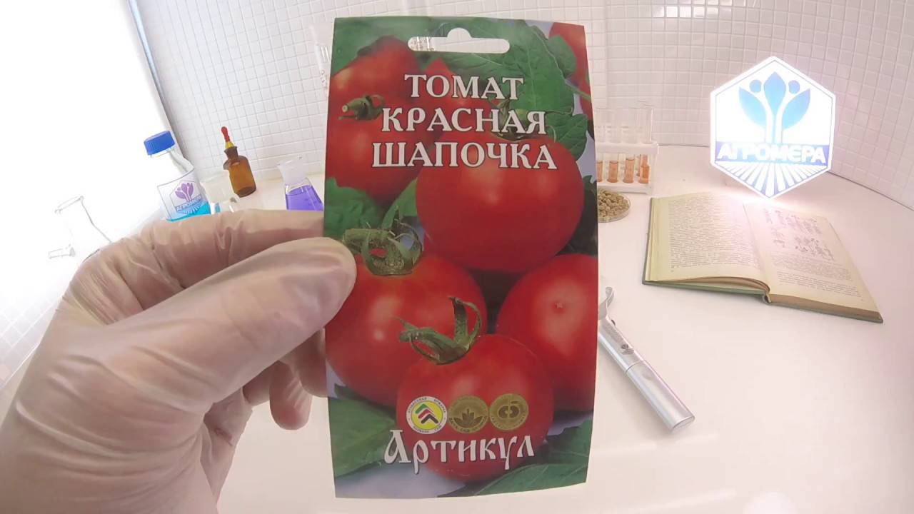 Популярные среди дачников помидоры «красная шапочка»: описание сорта и инструкция по его самостоятельному выращиванию