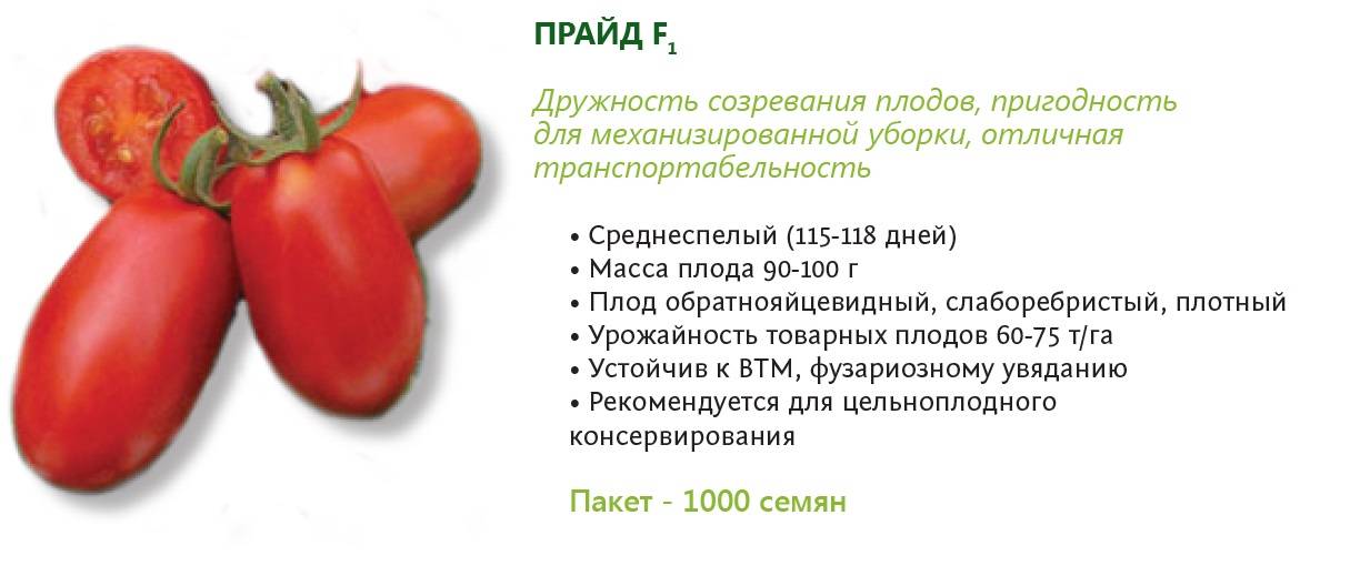 Томаты "желтая карамель" f1: выращивание, особенности, транспортировка, достоинства и недостатки помидор русский фермер