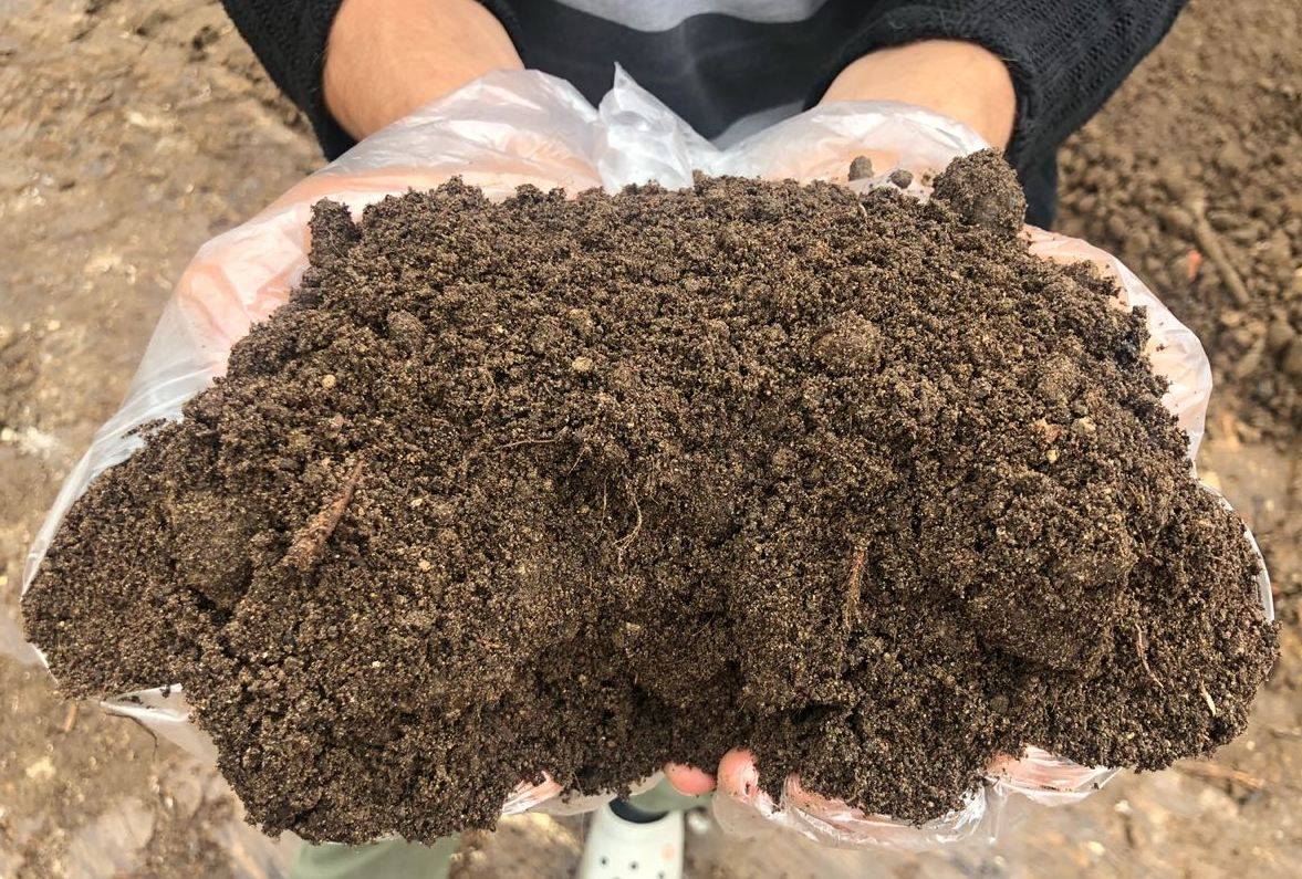 Использование торфа как удобрения для обеднённых плотных почв