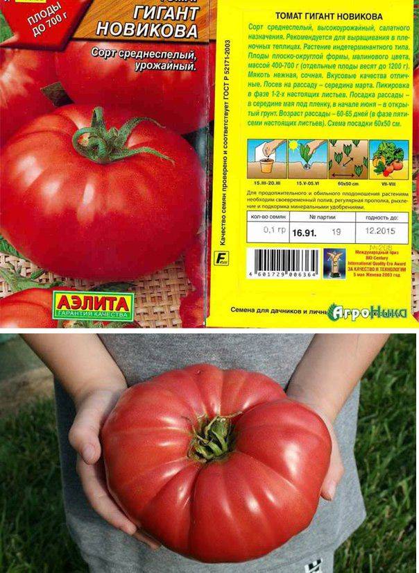 Несравненный томат под названием король красоты: подробное описание, выращивание, отзывы