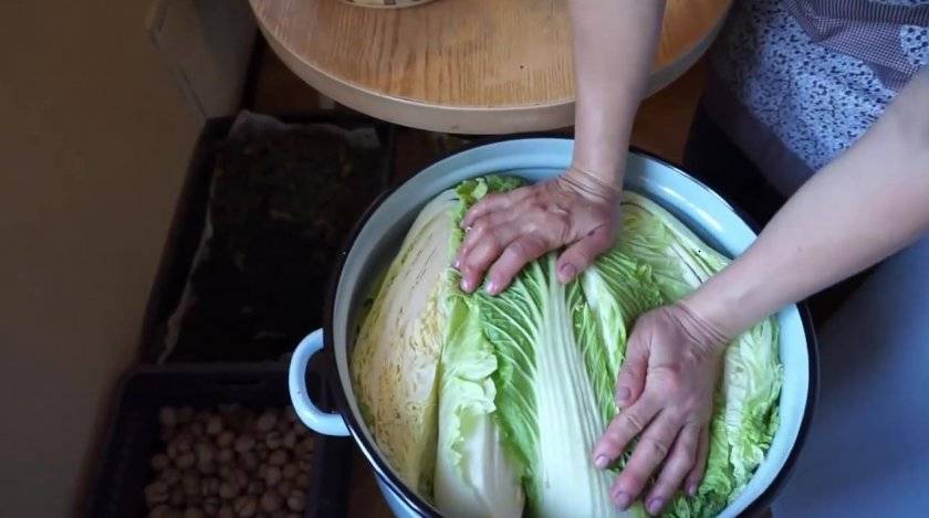 Рецепты для пекинской капусты на зиму: только проверенные заготовки