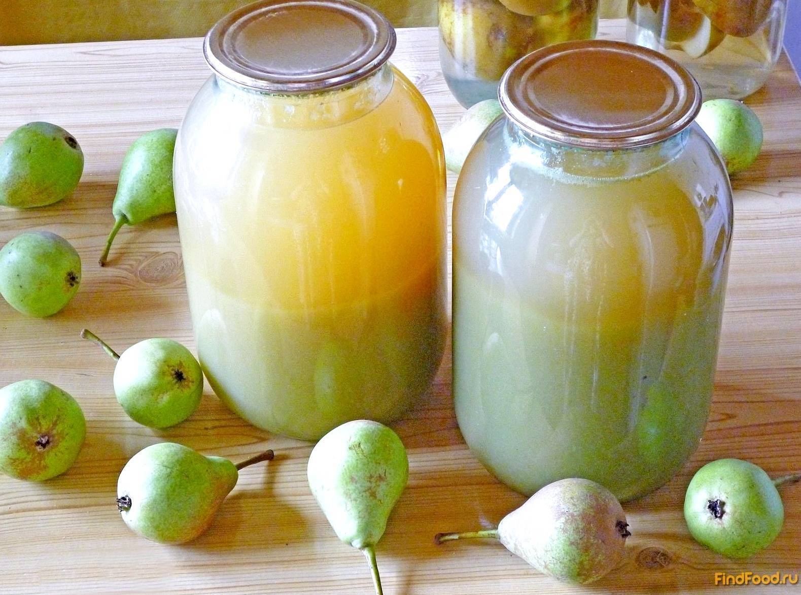 Как заготовить яблочный сок на зиму в домашних условиях, рецепты для соковарки и соковыжималки »