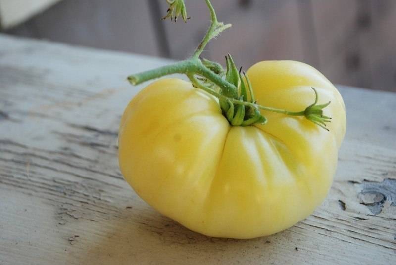 Описание, характеристика, посев на рассаду, подкормка, урожайность, фото, видео и самые распространенные болезни томатов сорта «желтая карамель f1».