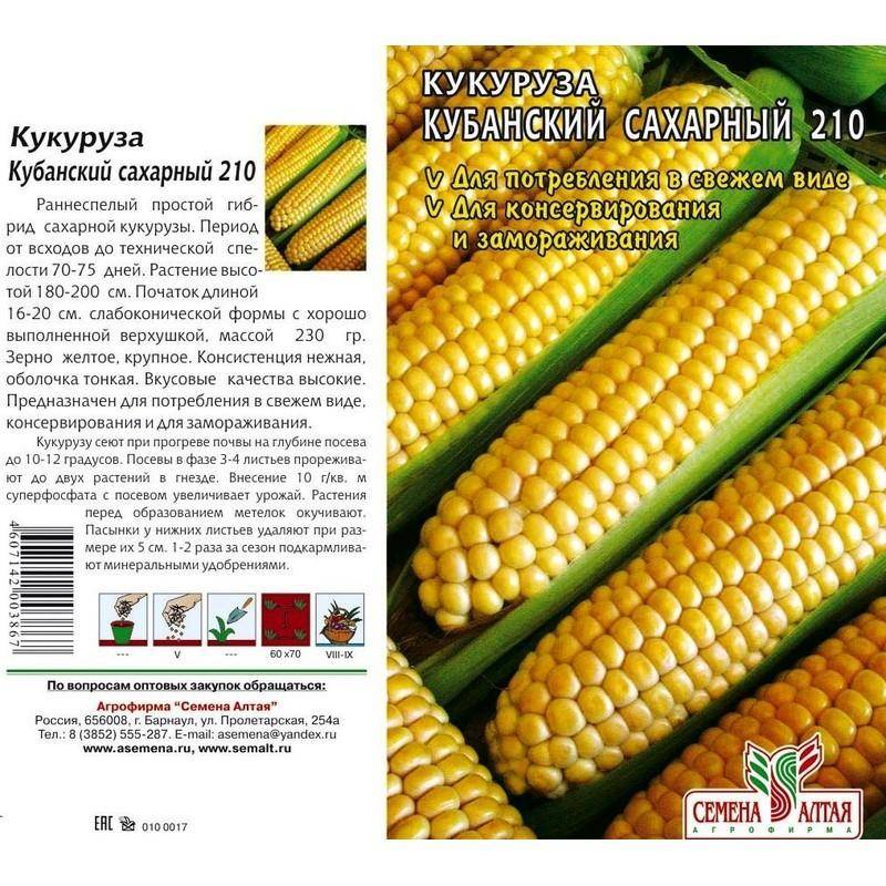 Лучшие сорта кукурузы: характеристика и особенности :: syl.ru