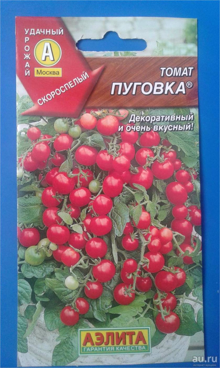 Пуговка помидоры как выращивать в какой горшочек посадить - агрожурнал startagro48.ru