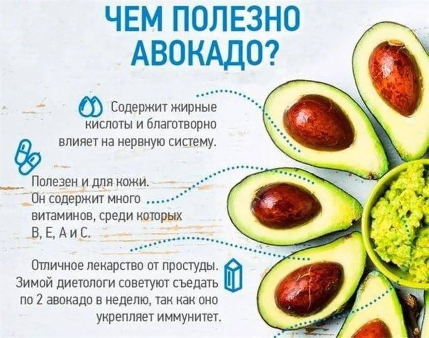 Масло авокадо: полезные свойства и инструкция по косметическому применению, пищевое использование, обзор отзывов, возможный вред, как сделать дома