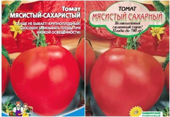 Подсинское чудо – как вырастить сладкие сливовидные томаты. подробное описание и советы по уходу