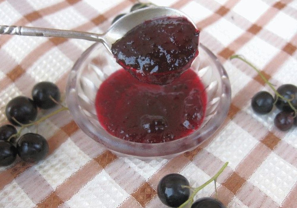 Желе из черной смородины - 8 простых рецептов на зиму с фото пошагово