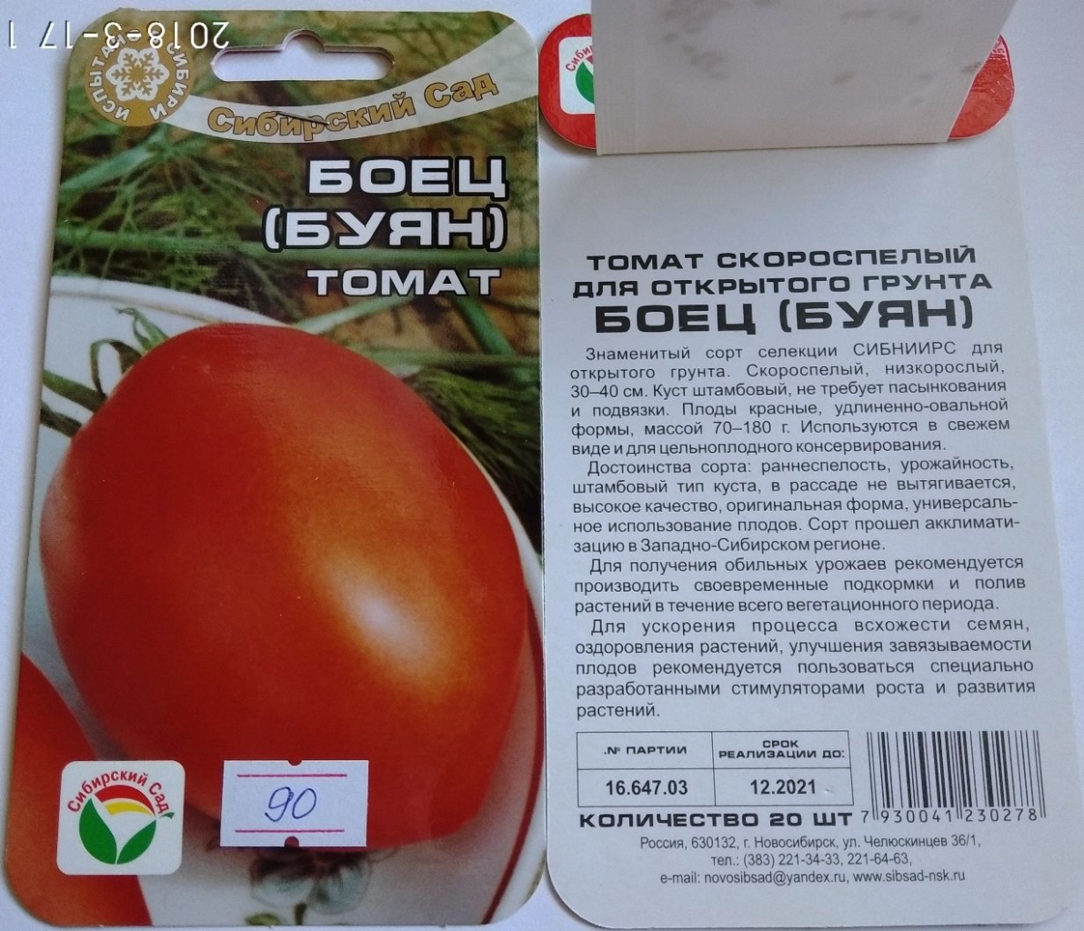Томат бабушкин поцелуй: характеристика и описание сорта, фото и отзывы об урожайности помидоров