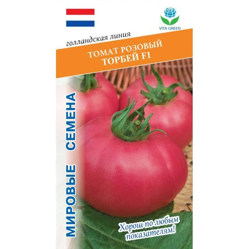Голландский сорт торбей f1: характеристика и урожайность помидор