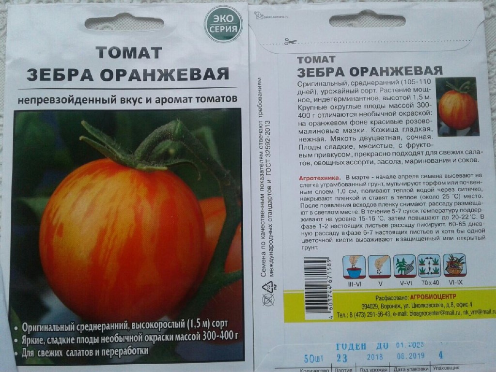 Томат «взрыв»: фото и описание сорта, характеристики и урожайность плодов-помидоров, рекомендации по выращиванию русский фермер