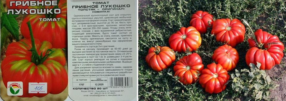 Томат грибное лукошко: характеристика и описание сорта, отзывы тех кто сажал помидоры об их урожайности, фото семян
