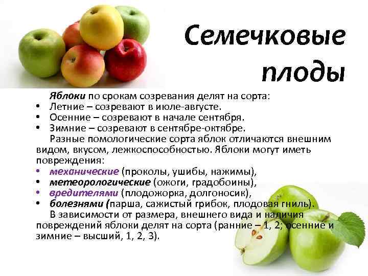 Опадают яблоки: основные причины, почему осыпаются неспелые плоды. как сохранить яблоки и не дать им опасть - автор екатерина данилова - журнал женское мнение