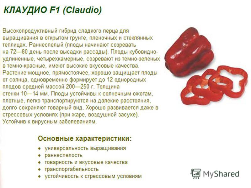 Перец клаудио: характеристика и описание гибридного сорта с фото