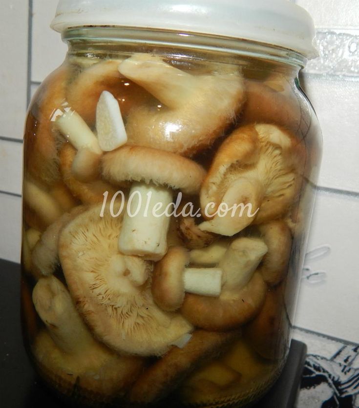 Как правильно мариновать грибы волнушки?