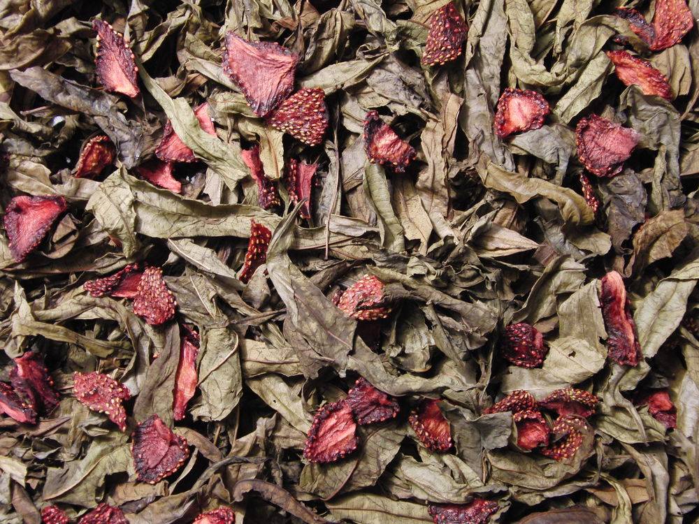 Как правильно сушить листья малины для чая в домашних условиях - женский журнал wumens.su